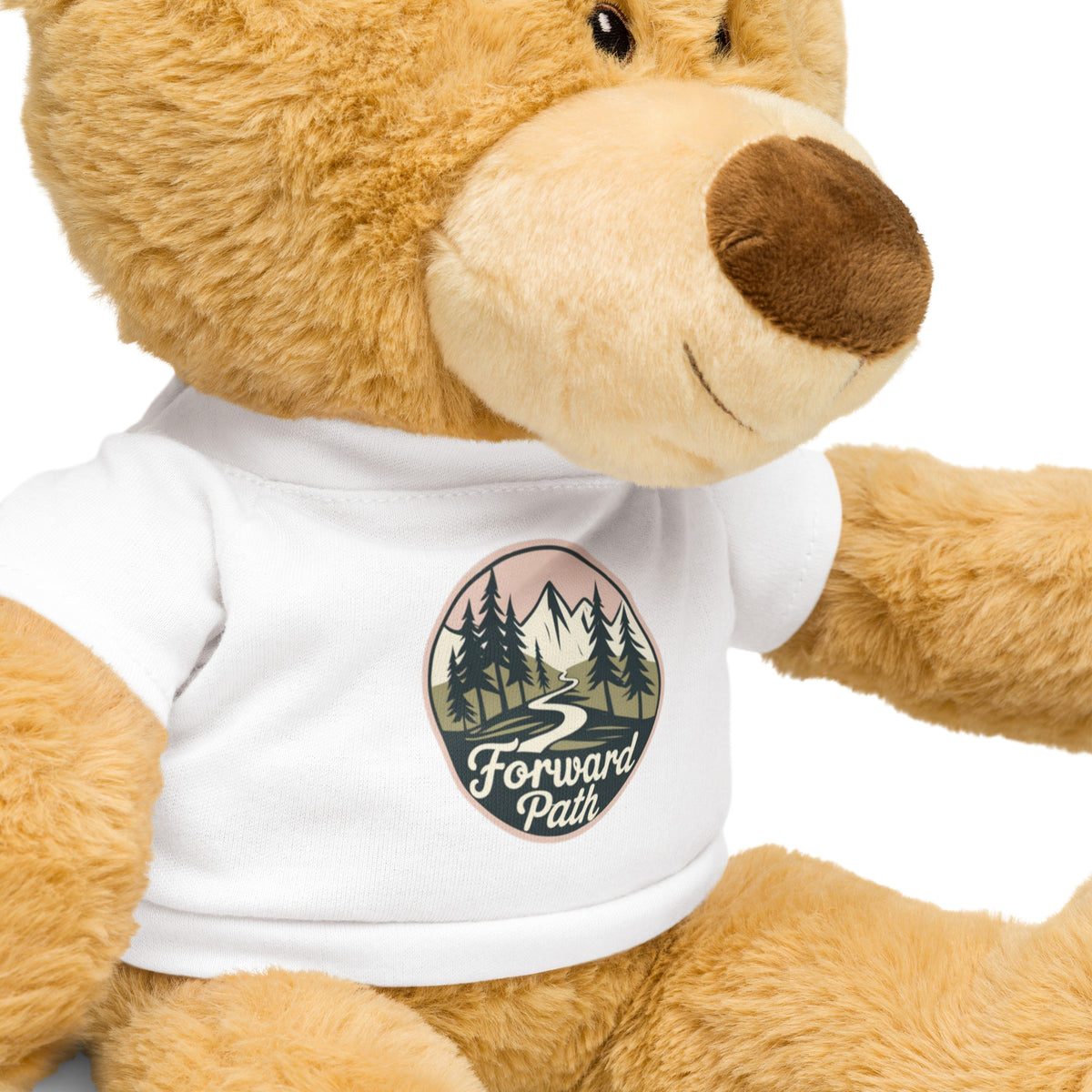 Path Train Teddy Forward Path Teddy bear